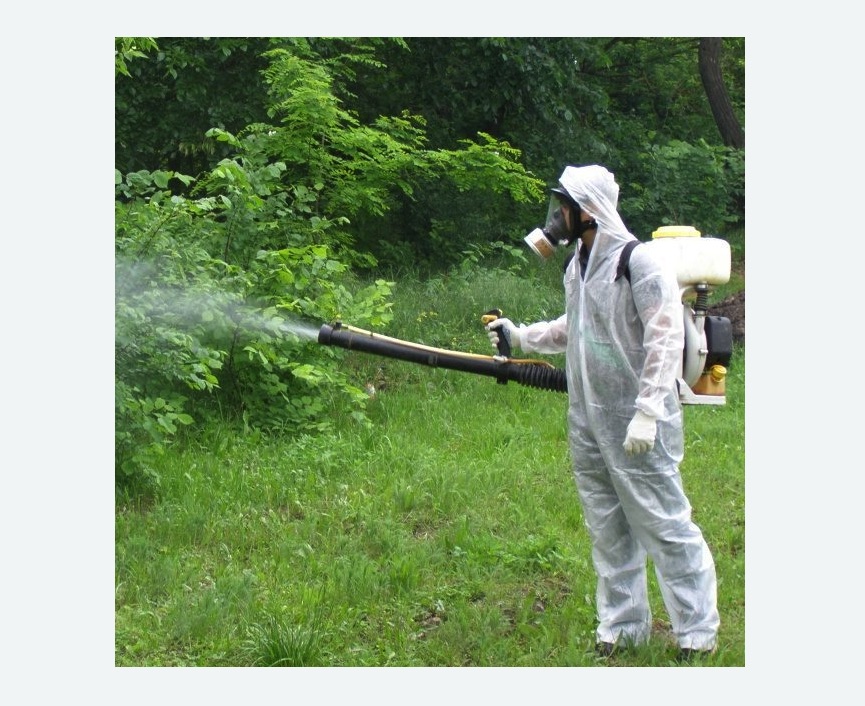 обработка территории от клещей в Кургане