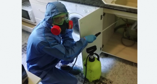 Уничтожение муравьев в квартире. Курган