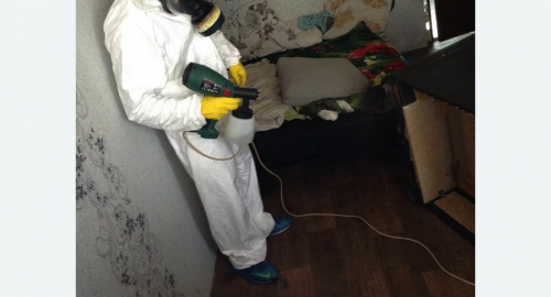 Обработка квартир от насекомых в Кургане