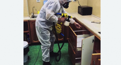 Дезинсекция квартиры. Курган