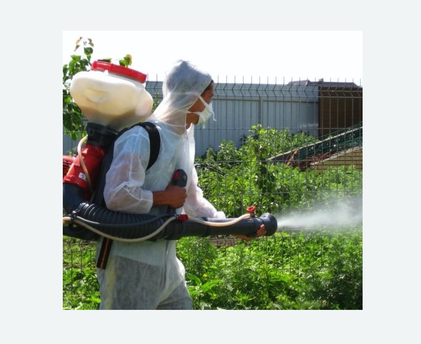 Акарицидная обработка территории в Кургане