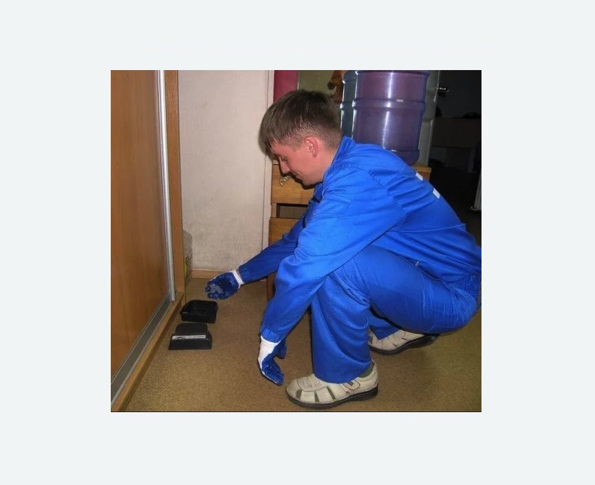 Дератизация крыс в Кургане