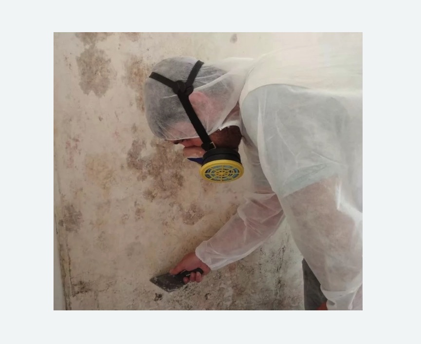 Обработка стен от плесени в Кургане