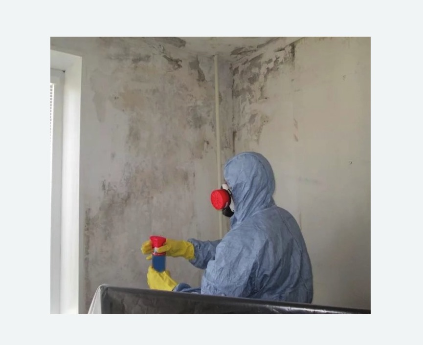 Удаление плесени в квартире в Кургане