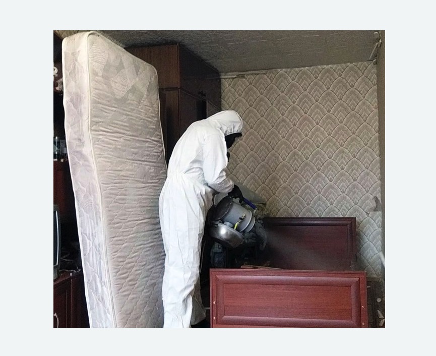 дезинфекция от клопов в Кургане