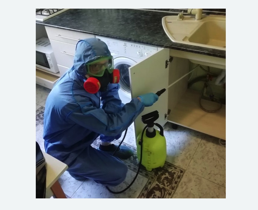 обработка от муравьев в квартире в Кургане