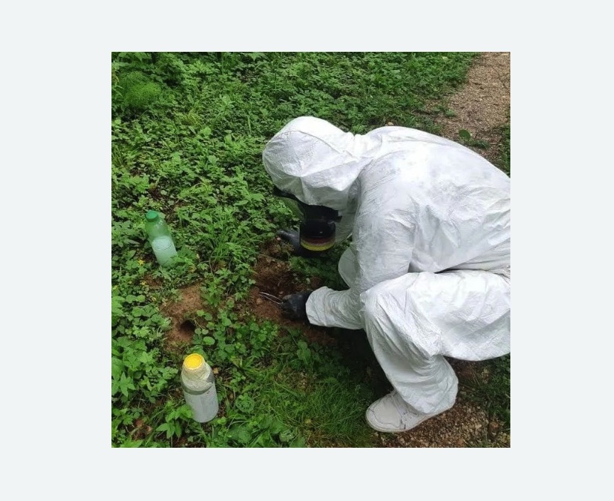 уничтожение кротов на участке в Кургане