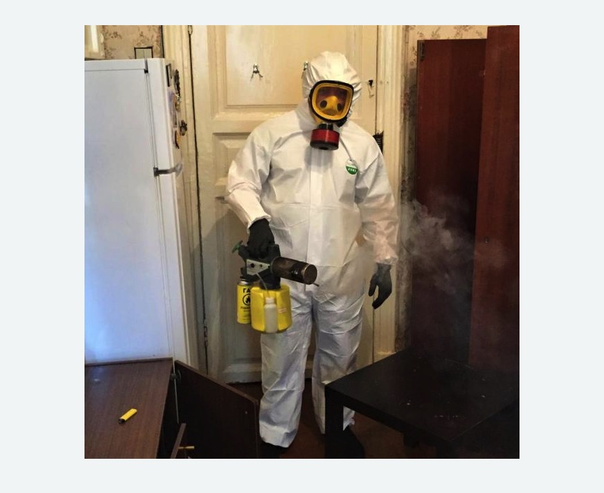 уничтожение муравьев в квартире в Кургане